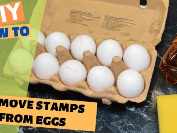 EASY Egg Hack: How to Remove Ink Stamps from Eggs (For Perfect Easter Eggs or Crafts!)