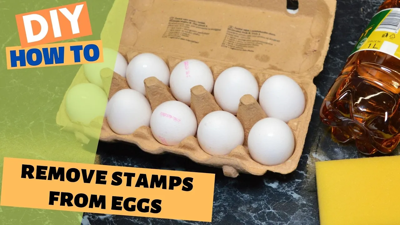 EASY Egg Hack: How to Remove Ink Stamps from Eggs (For Perfect Easter Eggs or Crafts!)